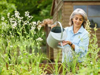The How to Guide –  How To Add Life To Your&nbsp;Garden