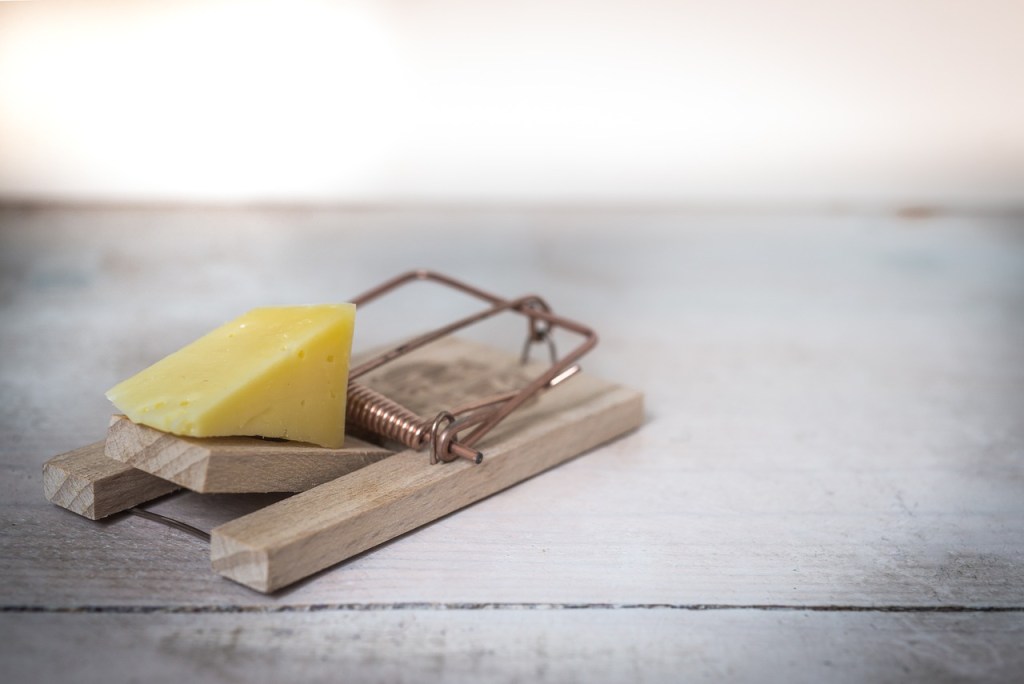 Image of a mouse trap with a block of cheese in the foreground, blurred out background