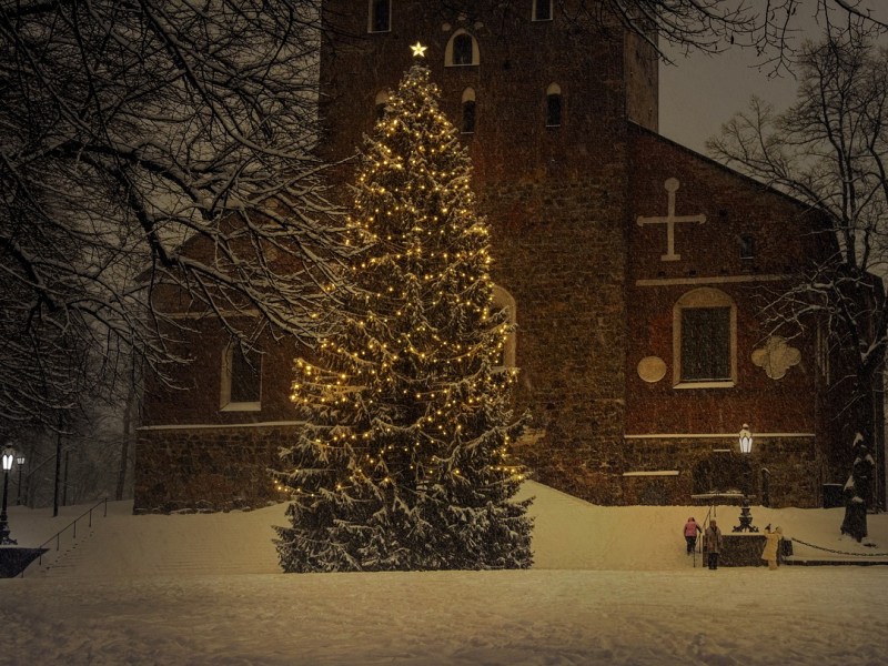 Choosing the Perfect Christmas Tree: A Seasonal&nbsp;Guide